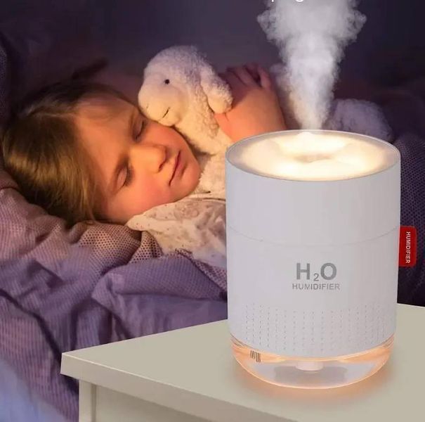 Портативний зволожувач повітря Humidifier H2O 500мл з підсвіткою GXZ-J623 фото